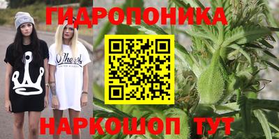 прущая мука Гатчина